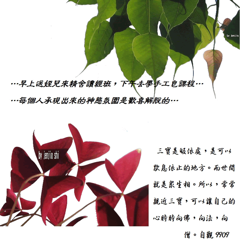 抖動的文字 師父的勉勵