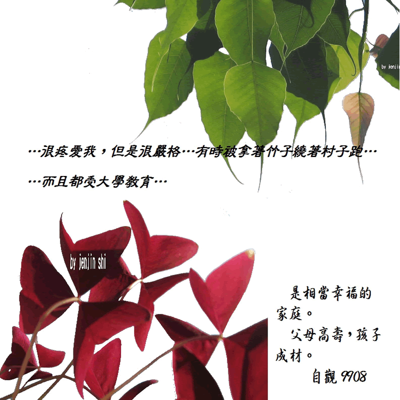 抖動的文字 師父的勉勵