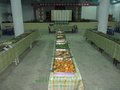 PhotoCap_089
