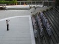 9706香光尼眾佛學院 師生 (67)
