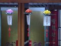 養慧學苑 2011 新春景觀 (6)