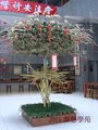 養慧學苑 2011 新春景觀 (9)